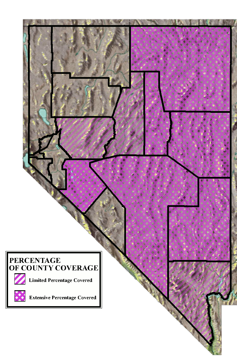 Ammann Nevada Map